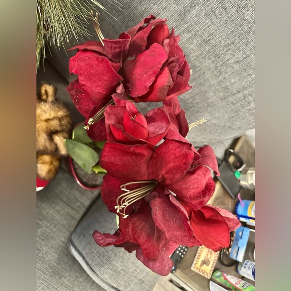 LOOK CLOSE! Christmas bundle last year. Dillards and macys stores. Used 1x - Picture 9 of 9